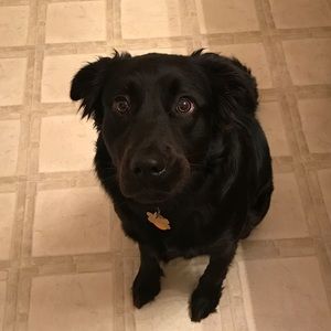 Meet your Posher, Abbey